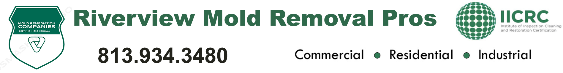 Riverview Mold Removal Pros