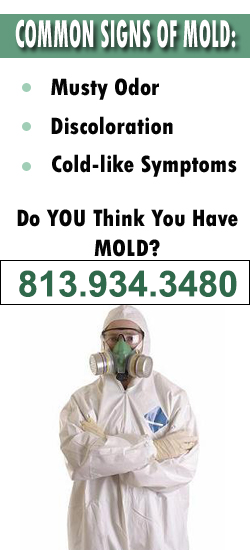 Riverview Mold Remediation Contractor